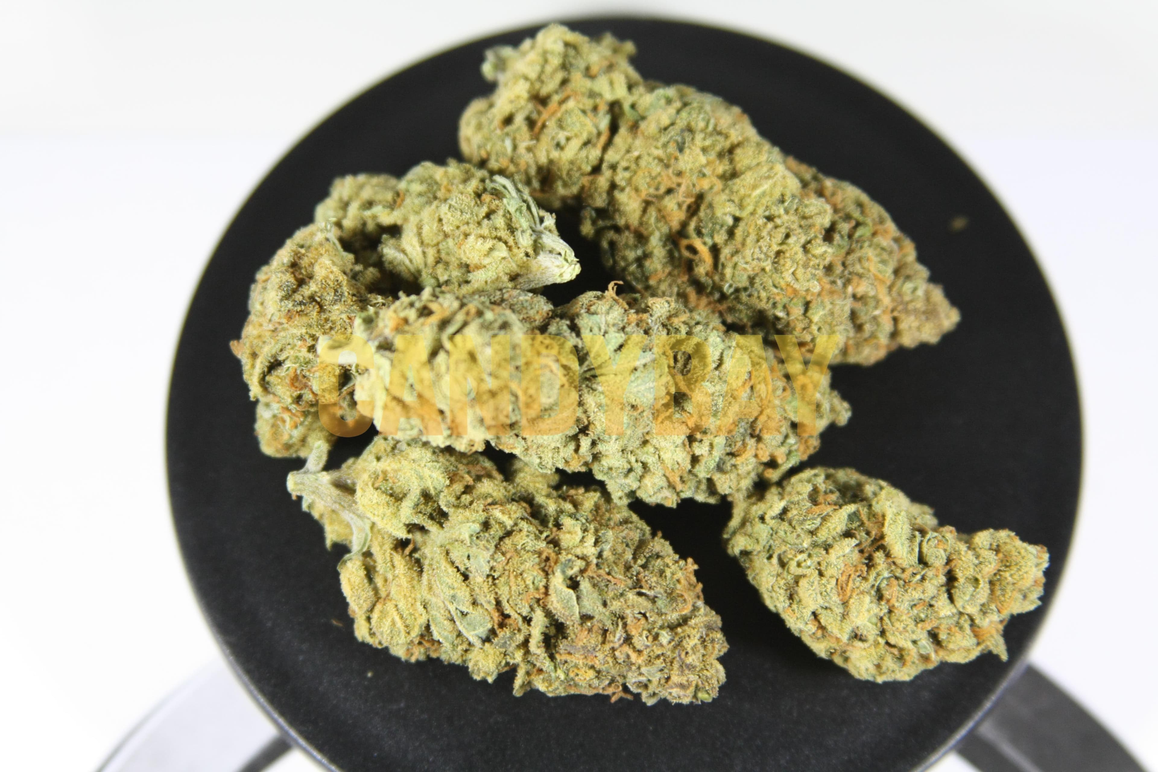 Amnesia Haze