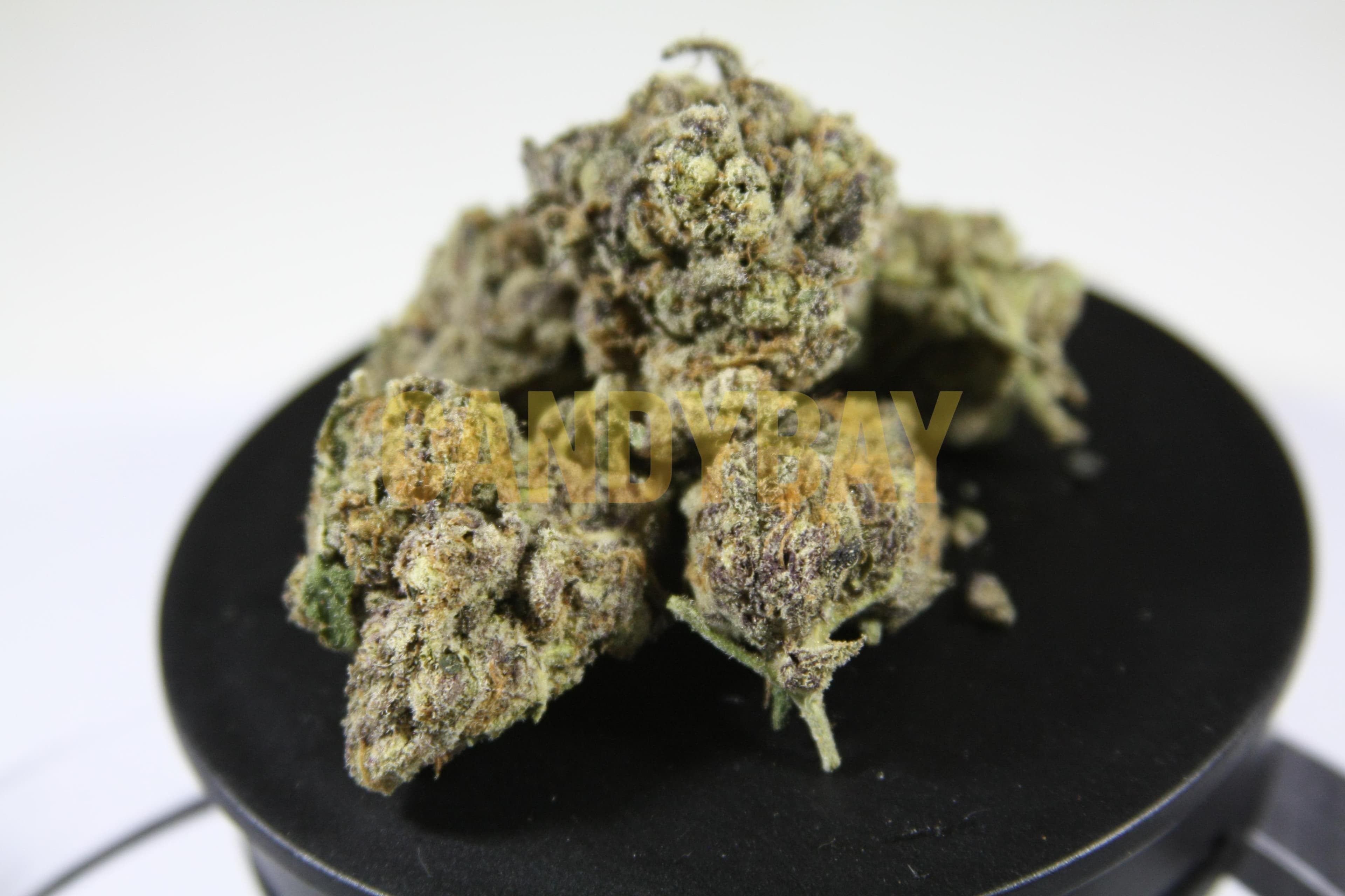 Cali Vanilla Purple